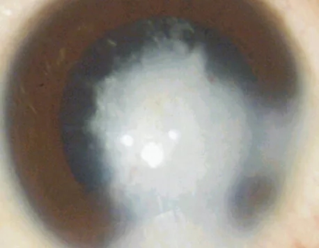 658395611.jpg