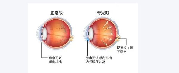 文章附图